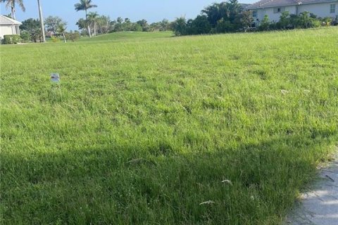 Terreno en venta en Punta Gorda, Florida № 1745158 - foto 9