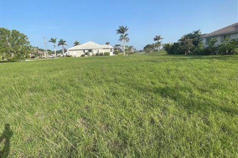 Terreno en venta en Punta Gorda, Florida № 1745158 - foto 7