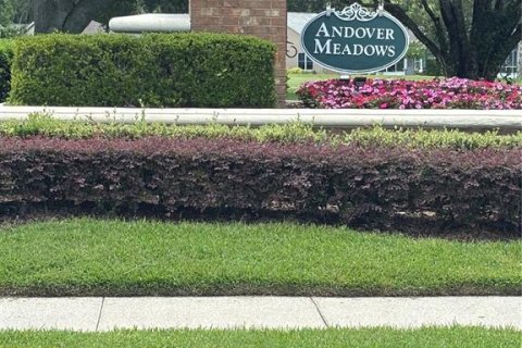 Villa ou maison à louer à Mount Dora, Floride: 3 chambres, 126.25 m2 № 1893824 - photo 2