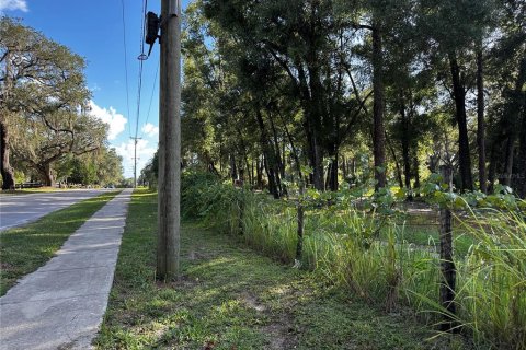 Land in Bronson, Florida № 2364001