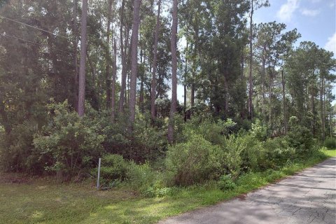 Land in Astor, Florida № 2160718 - photo 2