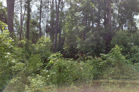 Land in Astor, Florida № 2160718 - photo 3