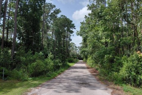 Land in Astor, Florida № 2160718