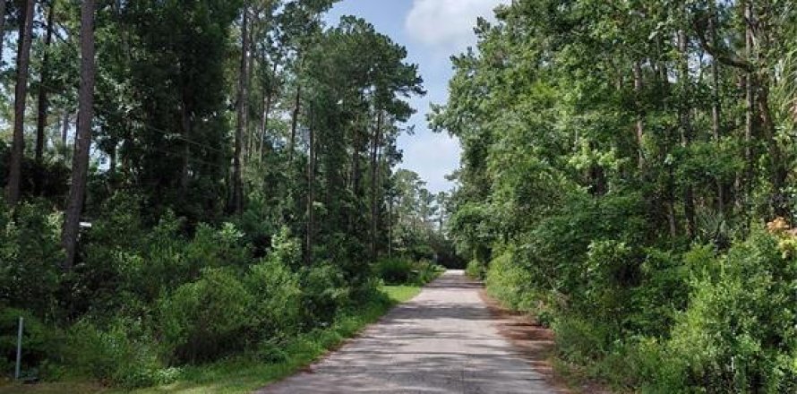Land in Astor, Florida № 2160718