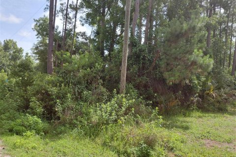 Land in Astor, Florida № 2160718 - photo 4