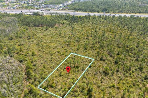 Terreno en venta en Orlando, Florida № 1656639 - foto 2