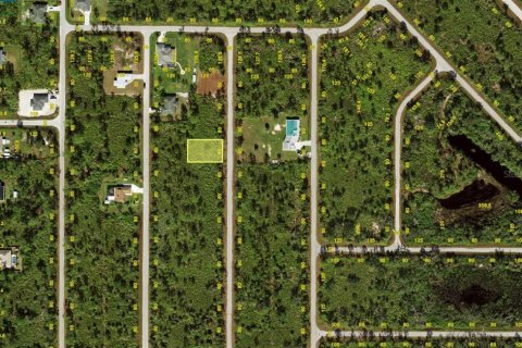 Land in Port Charlotte, Florida № 2211683 - photo 3