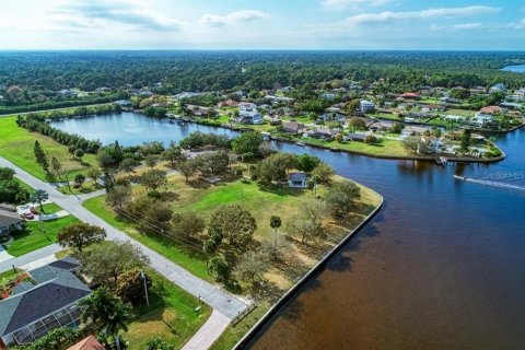 Land in Port Charlotte, Florida № 2211683 - photo 13