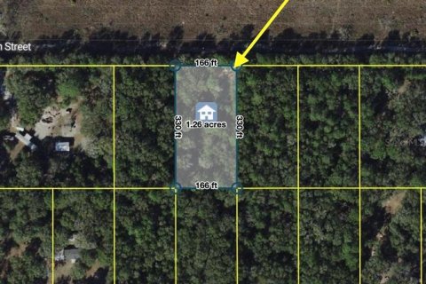Terrain à Dunnellon, Floride № 2218025
