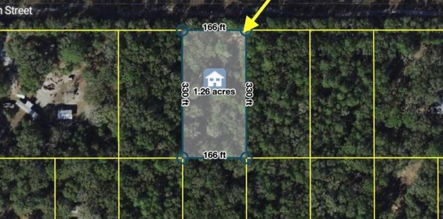 Terrain à Dunnellon, Floride № 2218025