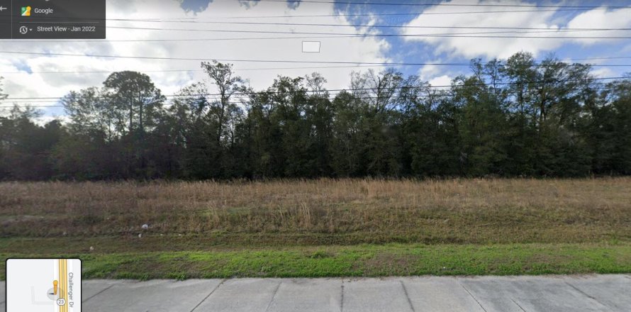 Land in Middleburg, Florida № 859520