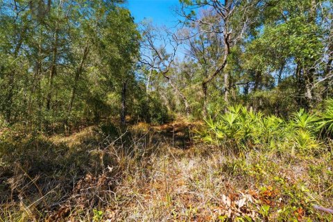 Terrain à vendre à Hudson, Floride № 2219067 - photo 8