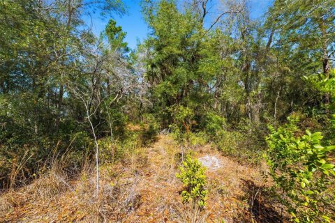Terrain à vendre à Hudson, Floride № 2219067 - photo 4