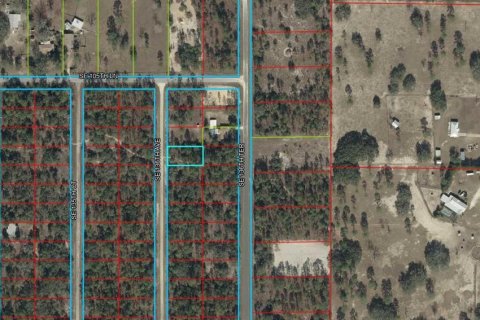 Terrain à Dunnellon, Floride № 2197544