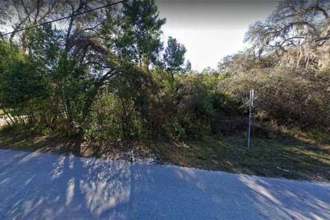 Terreno en venta en Dade City, Florida № 2160766 - foto 3