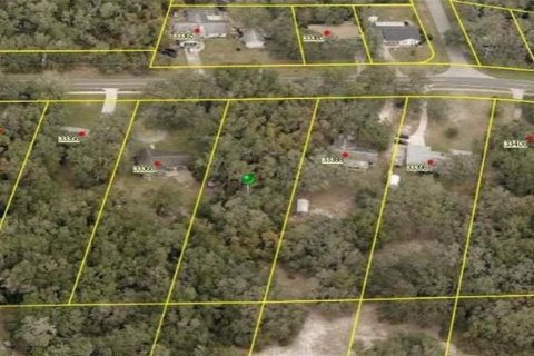 Terreno en Dade City, Florida № 2160766