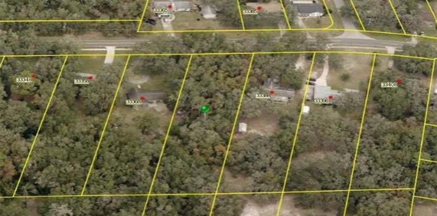 Terreno en Dade City, Florida № 2160766