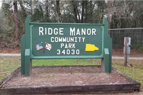Terreno en venta en Dade City, Florida № 2160766 - foto 4