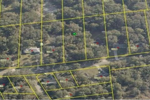 Terreno en venta en Dade City, Florida № 2160766 - foto 2