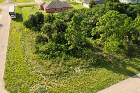 Land in Lehigh Acres, Florida № 1956512 - photo 1