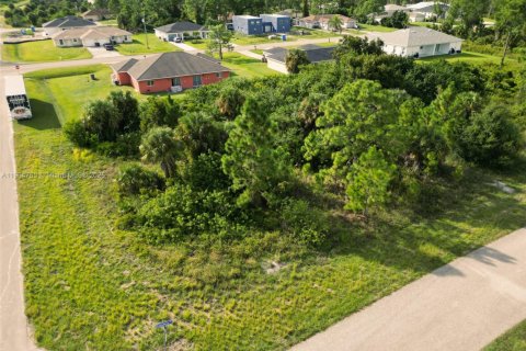 Land in Lehigh Acres, Florida № 1956512 - photo 11
