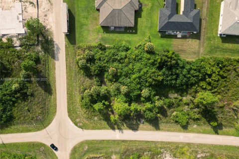 Land in Lehigh Acres, Florida № 1956512 - photo 6
