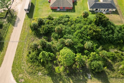 Land in Lehigh Acres, Florida № 1956512 - photo 2