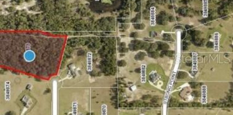 Land in Weirsdale, Florida № 1851057