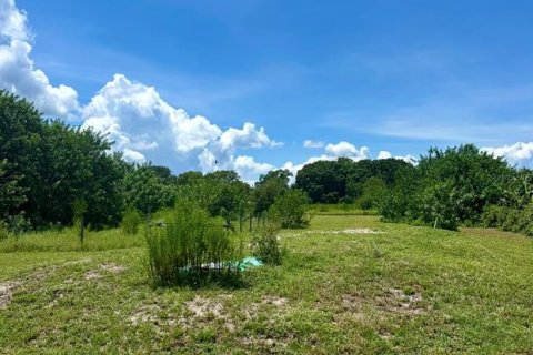 Terreno en venta en Kenansville, Florida № 1917082 - foto 8