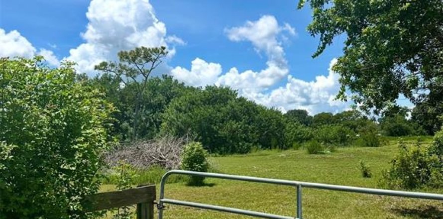 Terreno en Kenansville, Florida № 1917082