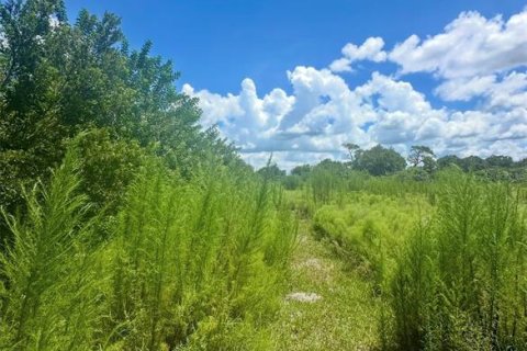 Terreno en venta en Kenansville, Florida № 1917082 - foto 9