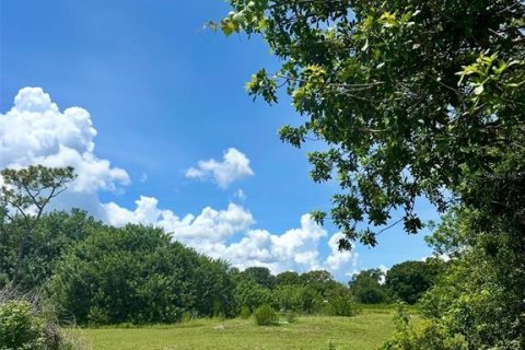 Terreno en venta en Kenansville, Florida № 1917082 - foto 6