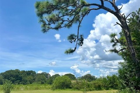 Terreno en venta en Kenansville, Florida № 1917082 - foto 2