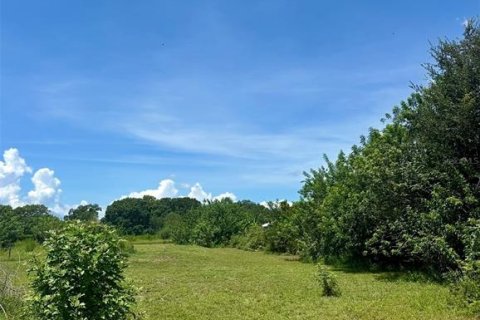 Terreno en venta en Kenansville, Florida № 1917082 - foto 5