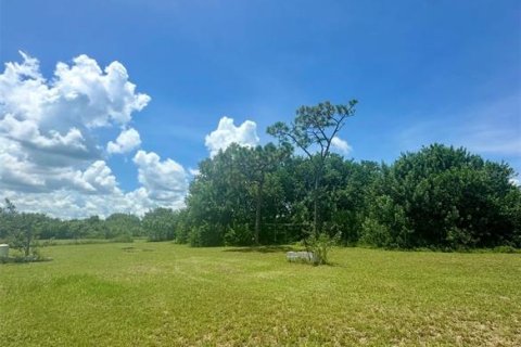Terreno en venta en Kenansville, Florida № 1917082 - foto 3