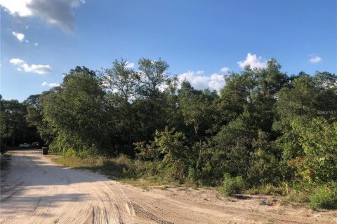 Land in Avon Park, Florida № 2161419 - photo 3