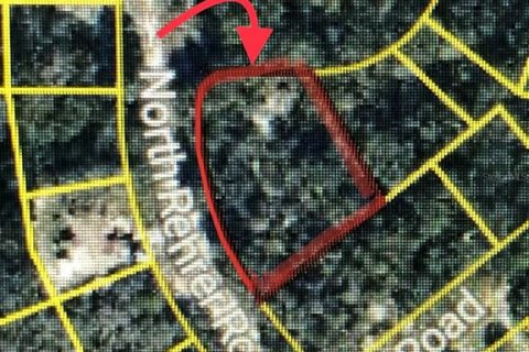 Land in Avon Park, Florida № 2161419 - photo 4