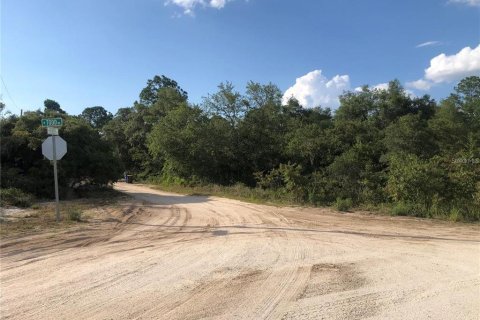 Land in Avon Park, Florida № 2161419 - photo 2