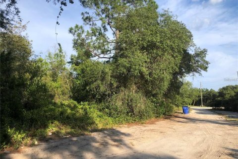 Land in Avon Park, Florida № 2161419