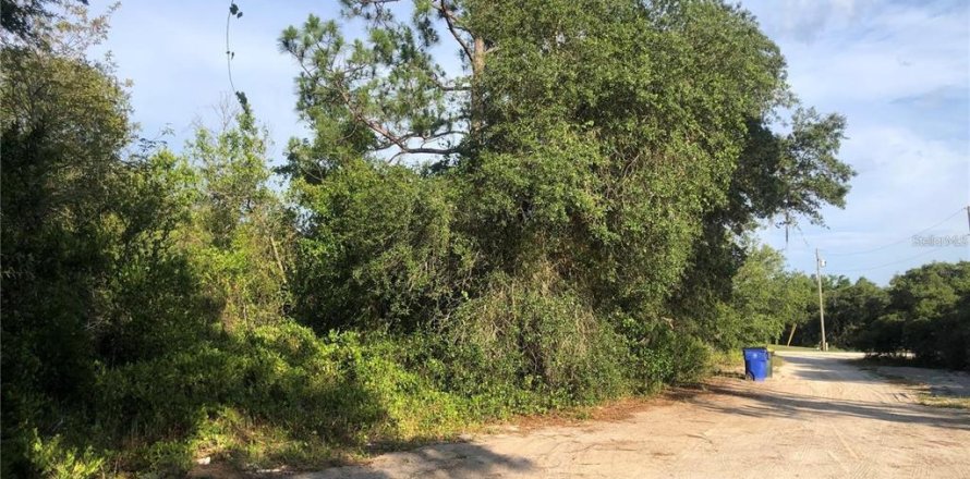 Land in Avon Park, Florida № 2161419