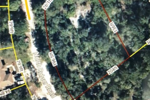 Land in Avon Park, Florida № 2161419 - photo 5