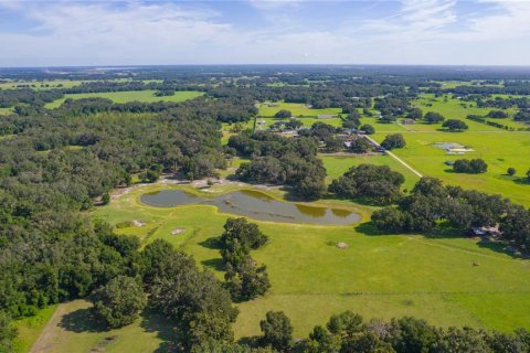 Terreno en venta en Bushnell, Florida № 1806646 - foto 5