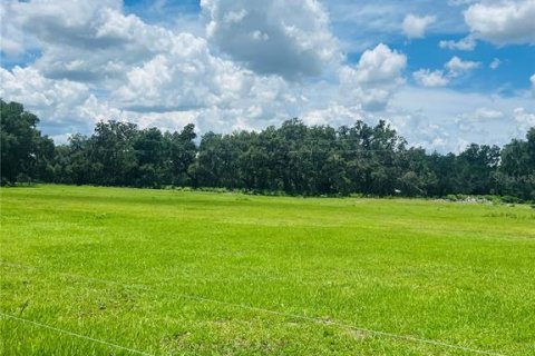 Terreno en venta en Bushnell, Florida № 1806646 - foto 17