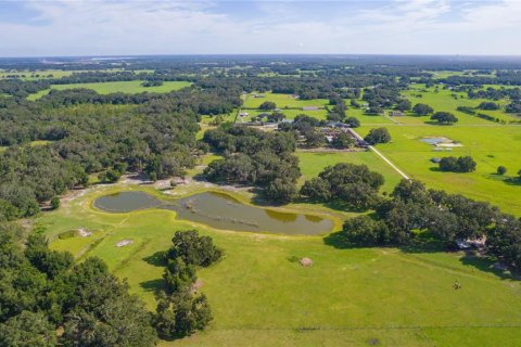 Terreno en venta en Bushnell, Florida № 1806646 - foto 4