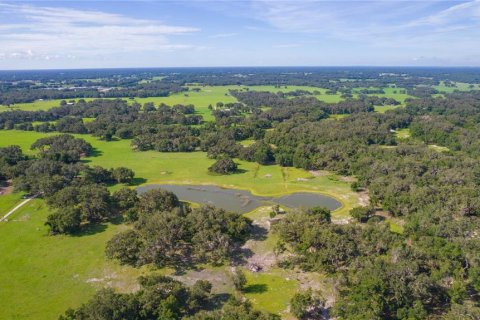 Terreno en venta en Bushnell, Florida № 1806646 - foto 11