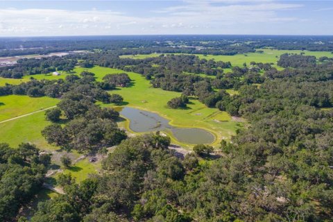 Terreno en venta en Bushnell, Florida № 1806646 - foto 10