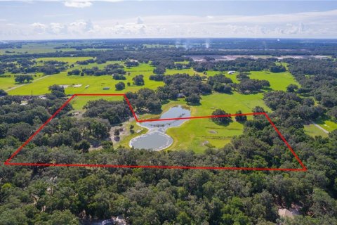 Terreno en venta en Bushnell, Florida № 1806646 - foto 24