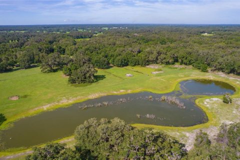 Terreno en venta en Bushnell, Florida № 1806646 - foto 14