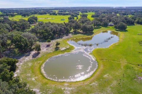 Terreno en venta en Bushnell, Florida № 1806646 - foto 2