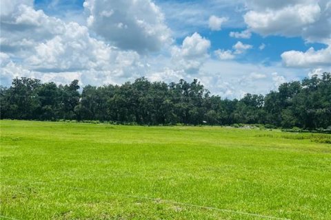 Terreno en venta en Bushnell, Florida № 1806646 - foto 18